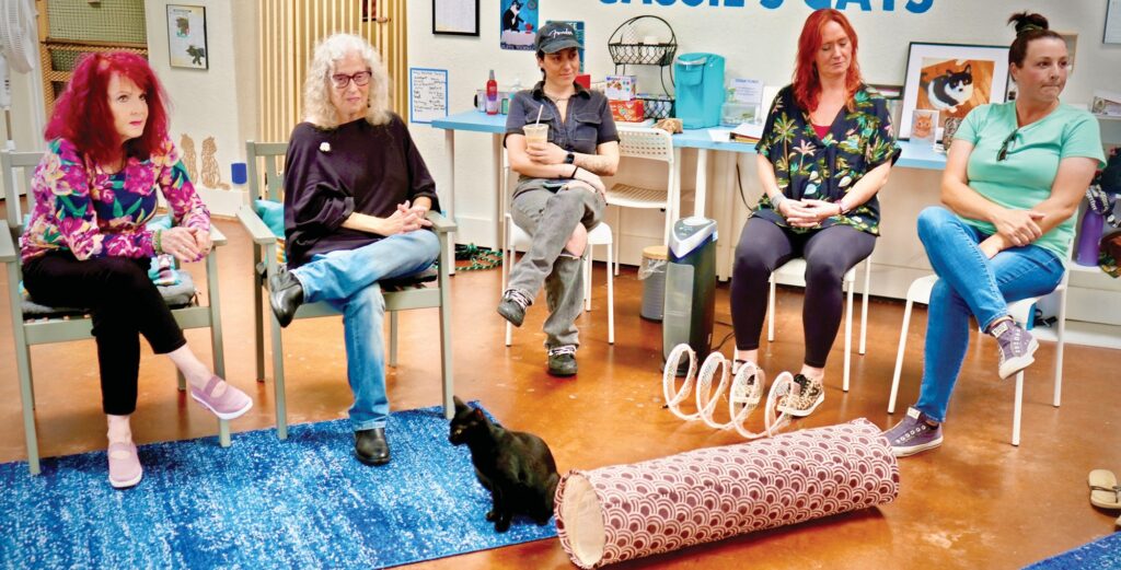 Bonding with Cats helps parents