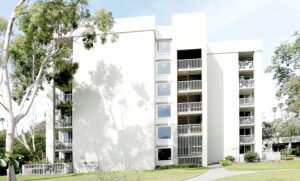 Palm Vista project discussed