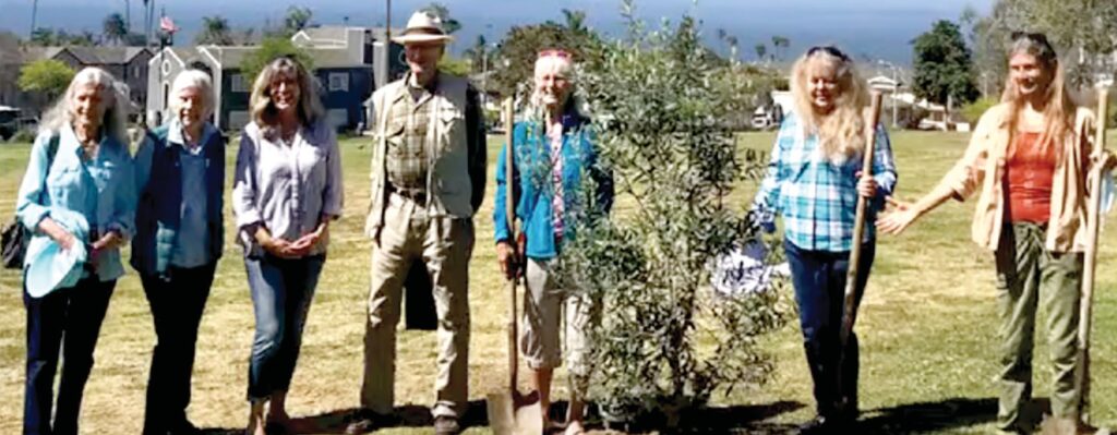 Ventura Tree Alliance brightens City