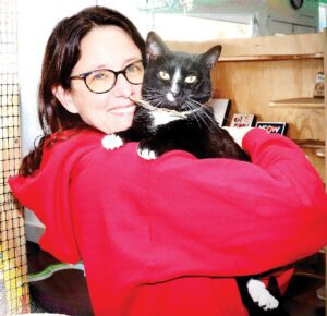 Cassie's Cats and Kittens is Ready for 2022
