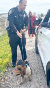 Community and PHPD Rescue stuck pup
