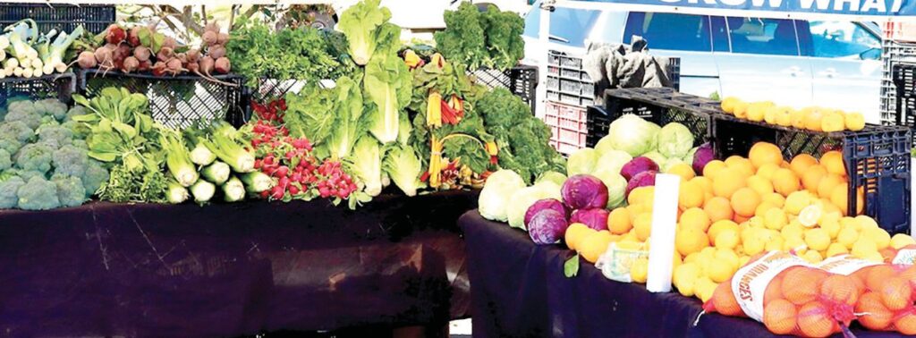 CI spring market full of happiness