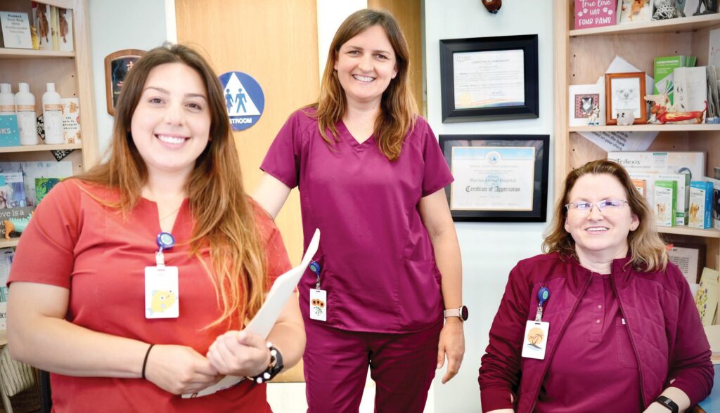 Marina hospital keeps pets healthy