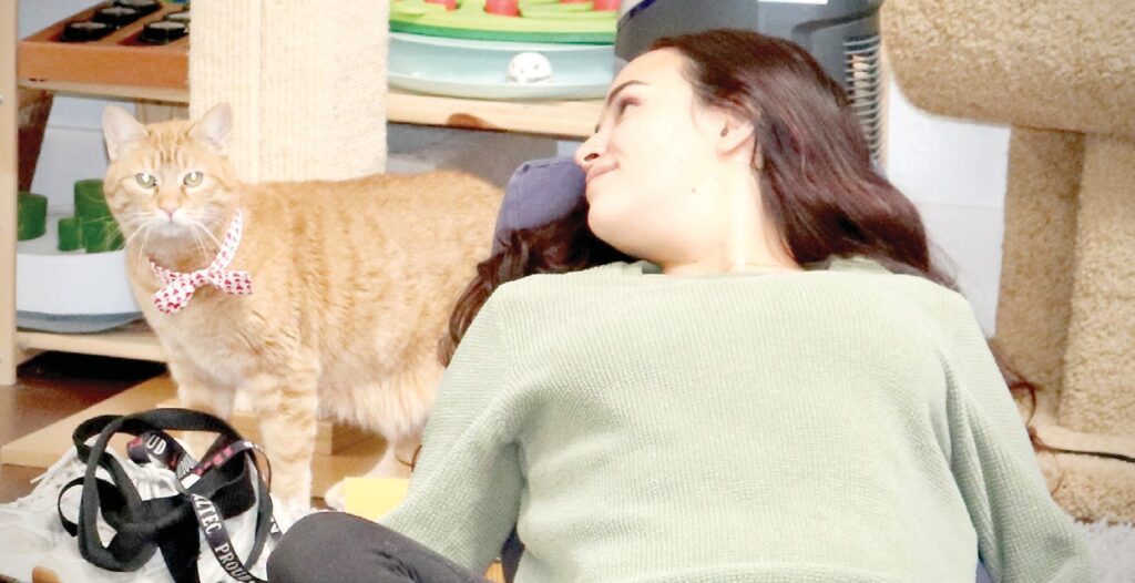 Yoga with Cats is serene fun