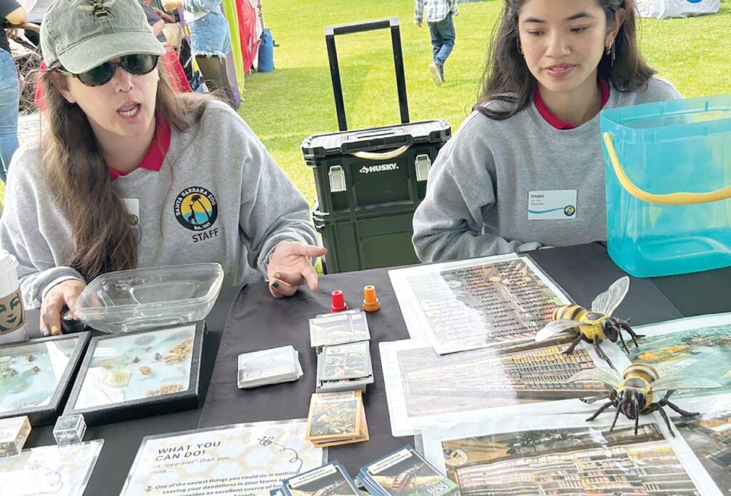 Annual Insect Festival buzzing flying education