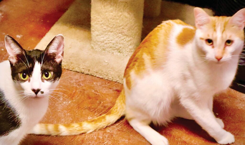Noah and Dotty are best buds