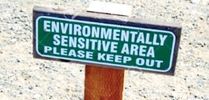 Bubbling Springs cleanup will be safe for nature