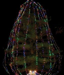 Tree Lighting kicks off Holidays