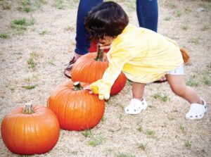 HALLOWEEN Spook-Tacular