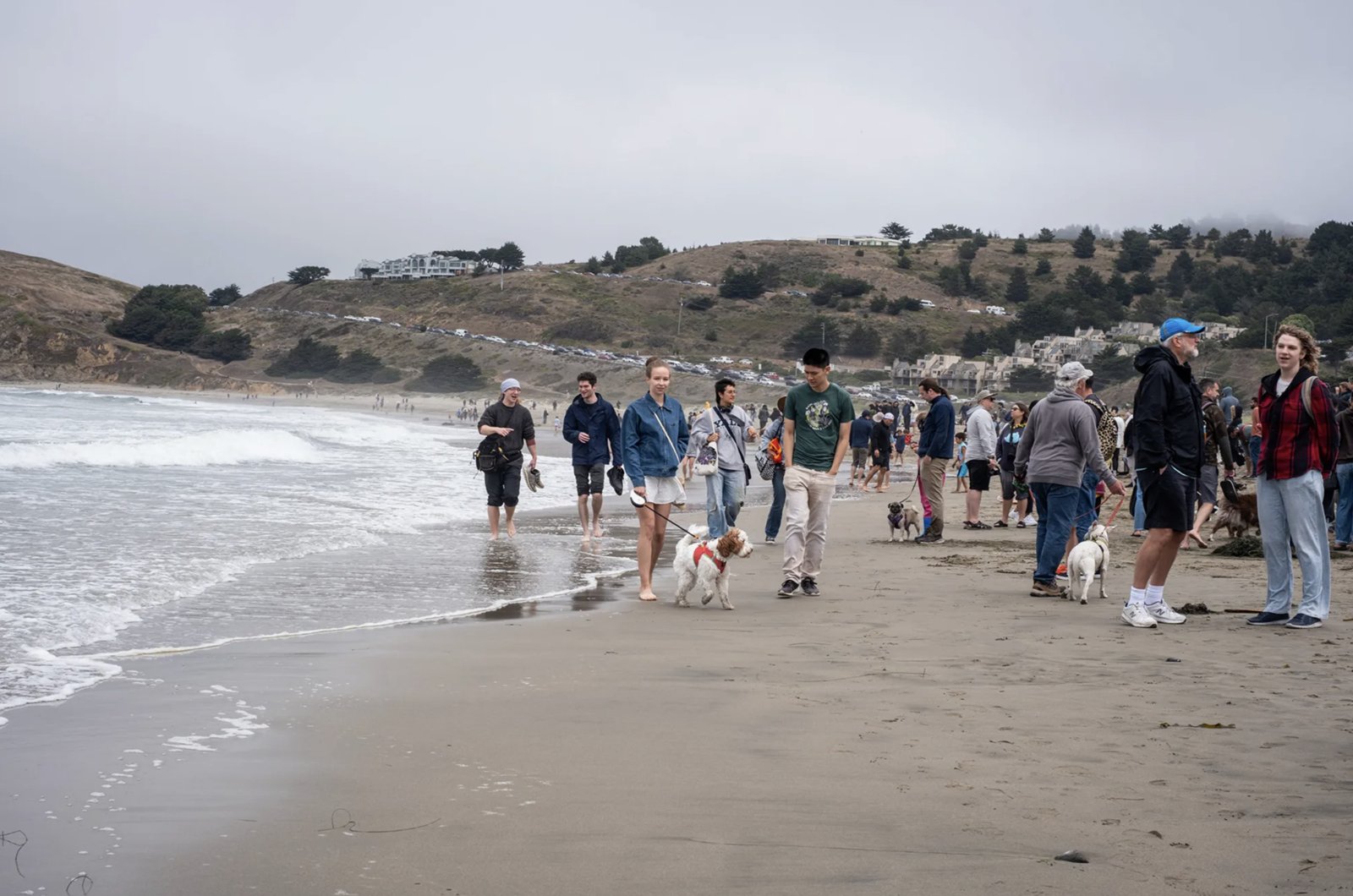 How Airbnb Is Fighting for Its Place on California’s Coast